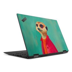 Foils for Laptops matt