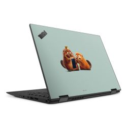 Foils for Laptops matt