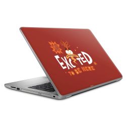 Foils for Laptops matt