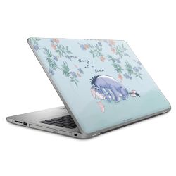 Foils for Laptops matt