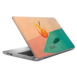 Foils for Laptops matt
