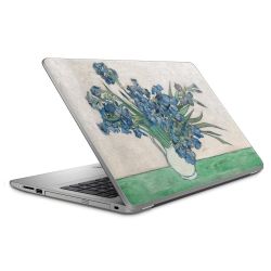 Foils for Laptops matt