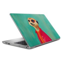 Foils for Laptops matt