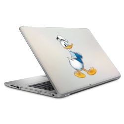 Foils for Laptops matt