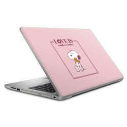 Foils for Laptops matt