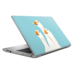 Foils for Laptops matt