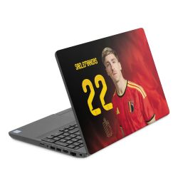 Foils for Laptops matt