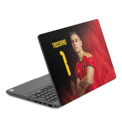 Foils for Laptops matt