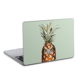 Hibou de l'ananas