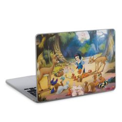 Foils for Laptops matt