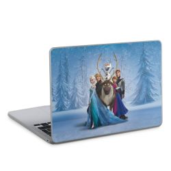 Foils for Laptops matt