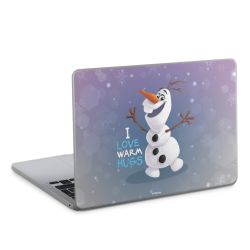 Foils for Laptops matt