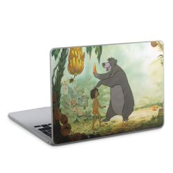 Foils for Laptops matt