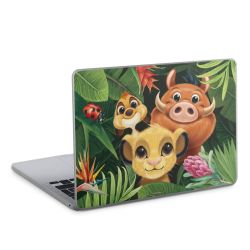 Foils for Laptops matt