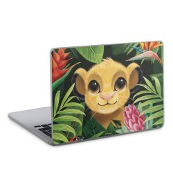 Foils for Laptops matt