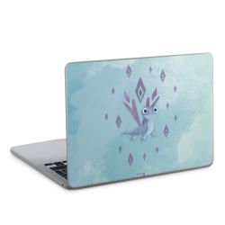 Foils for Laptops matt