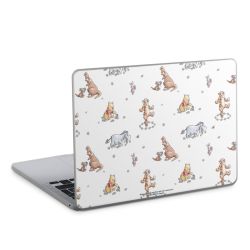 Foils for Laptops matt