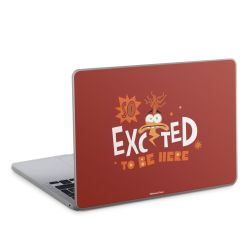 Foils for Laptops matt