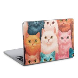 Foils for Laptops matt