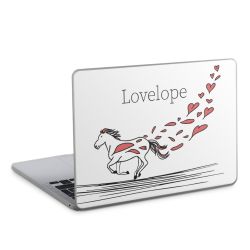 Foils for Laptops matt