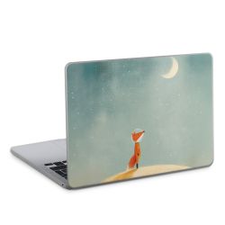 Foils for Laptops matt