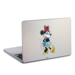 Foils for Laptops matt