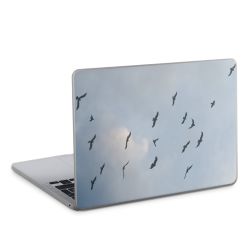 Foils for Laptops matt