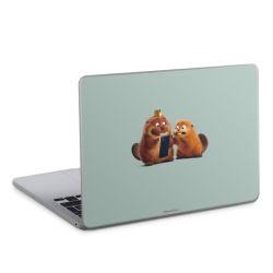 Foils for Laptops matt