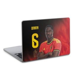 Foils for Laptops matt