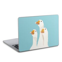 Foils for Laptops matt