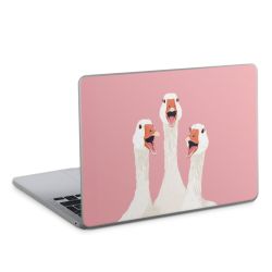 Foils for Laptops matt