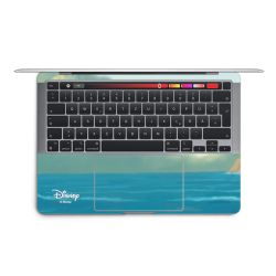 Foils for Laptops matt