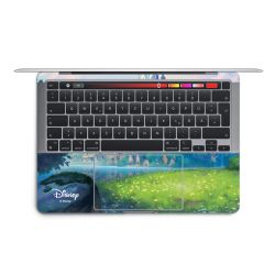 Foils for Laptops matt