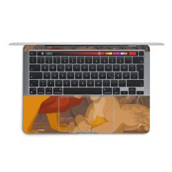 Foils for Laptops matt