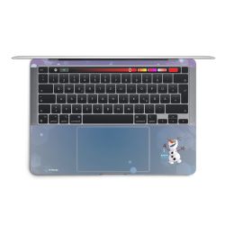 Foils for Laptops matt