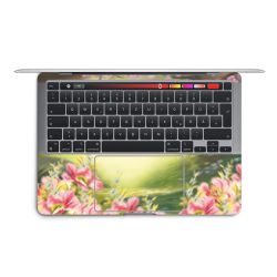 Foils for Laptops matt