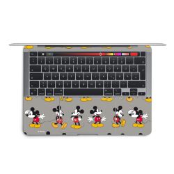 Foils for Laptops matt