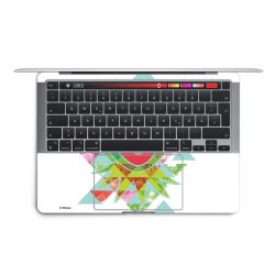 Foils for Laptops matt