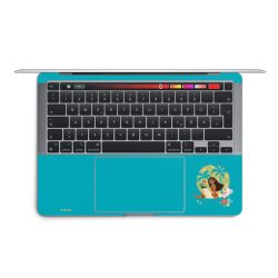 Foils for Laptops matt