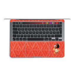 Foils for Laptops matt