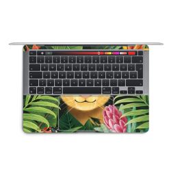 Foils for Laptops matt