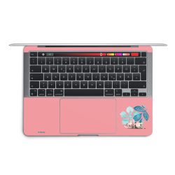 Foils for Laptops matt