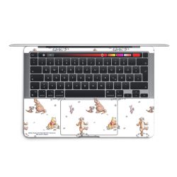 Foils for Laptops matt