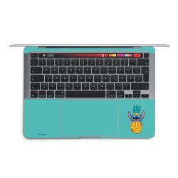 Foils for Laptops matt