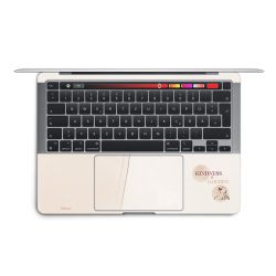 Foils for Laptops matt