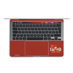 Foils for Laptops matt