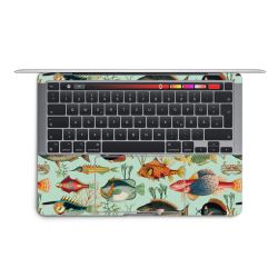 Foils for Laptops matt