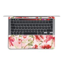 Foils for Laptops matt