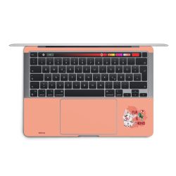 Foils for Laptops matt