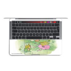 Foils for Laptops matt